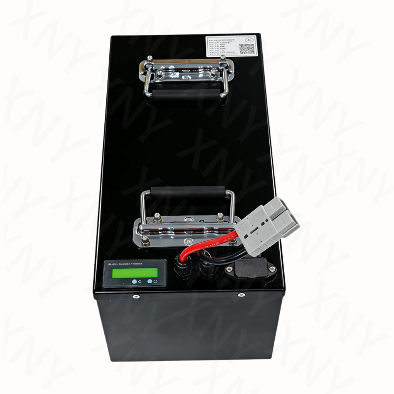 Batería de Litio XNY-72V LifeP - 72V 60Ah Lifepo4 Battery Pack reseña y precio