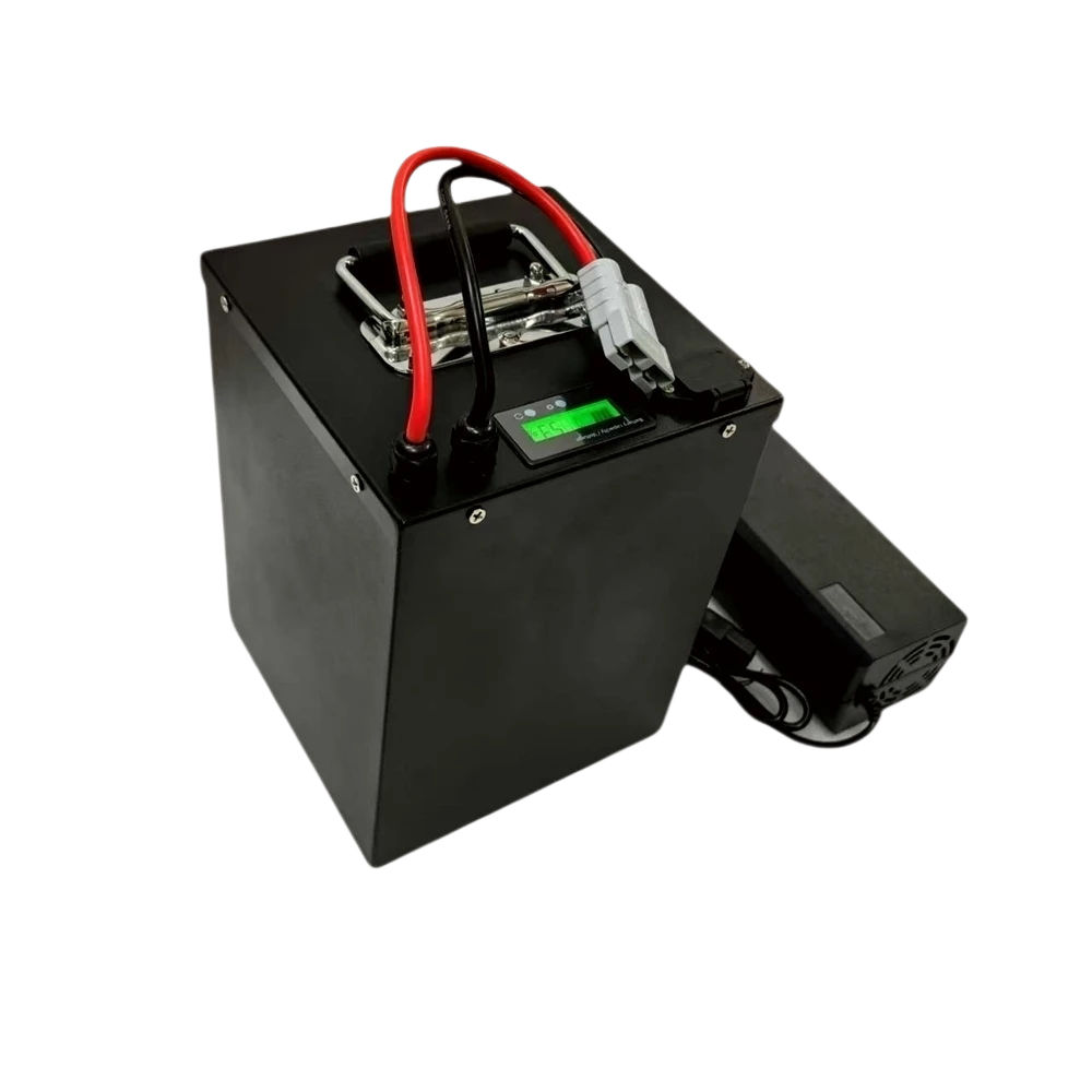 JN- 24S BMS 72V 20Ah 40Ah 60Ah - 72V 60Ah Lifepo4 Battery Pack reseña y precio