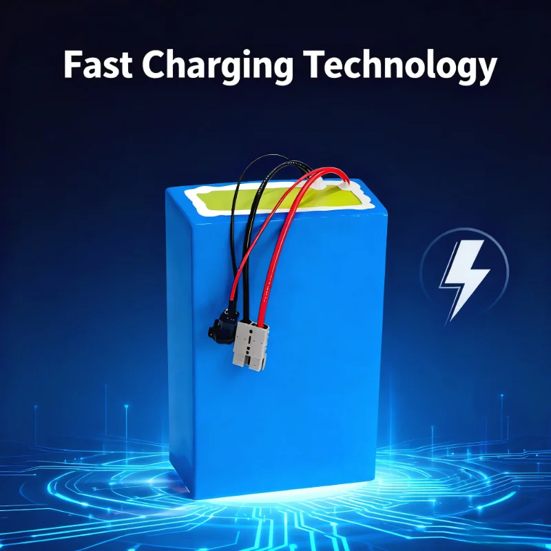 Batería de iones de litio BMS  - 72V 60Ah Lifepo4 Battery Pack reseña y precio