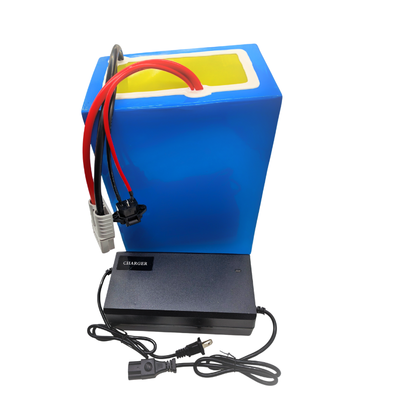 Batería de polímero de litio B - 72V 60Ah Lifepo4 Battery Pack reseña y precio